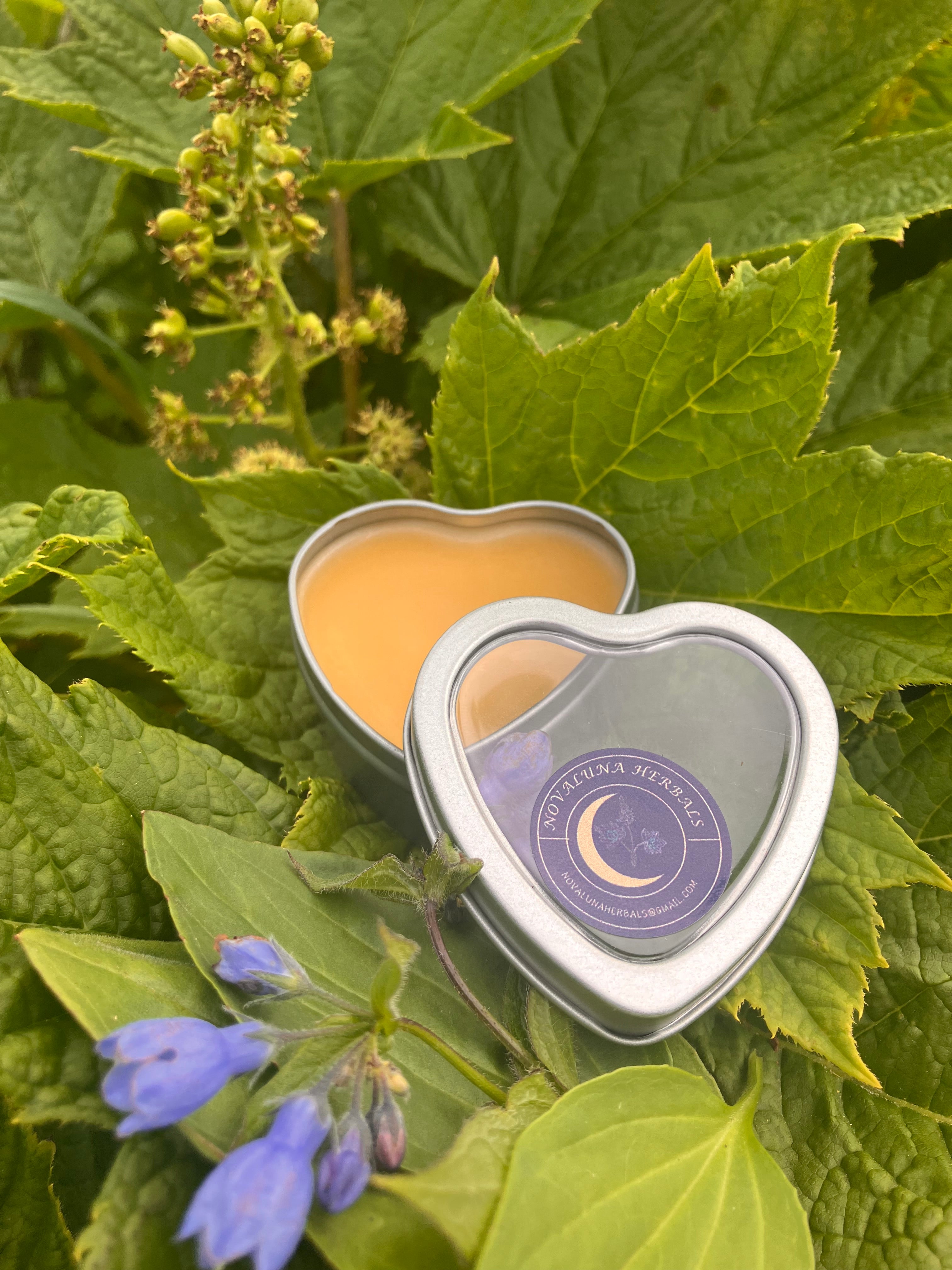 Deep Devil's Club (Relieve pain down to the bone)