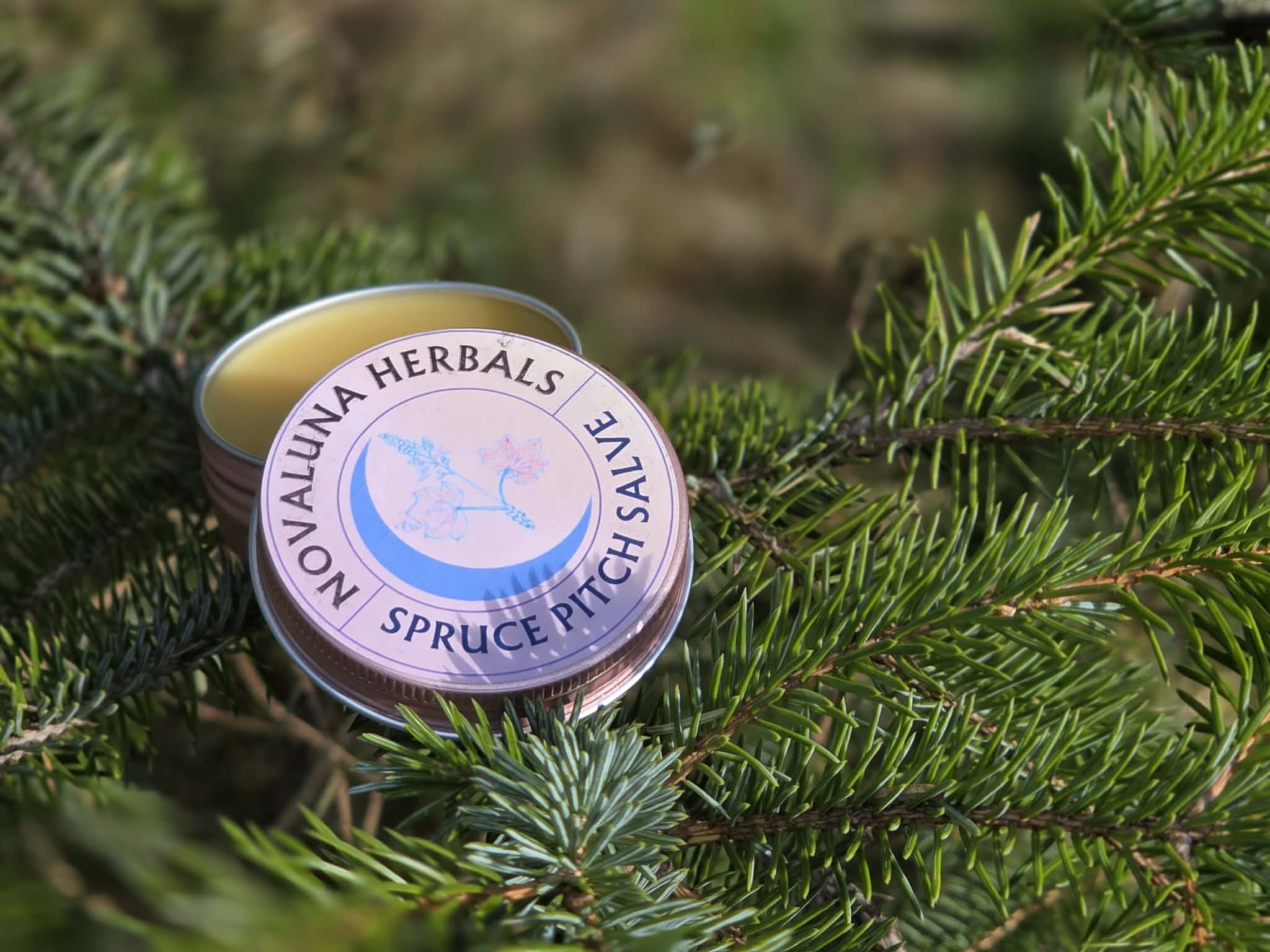 Spruce Pitch Salve